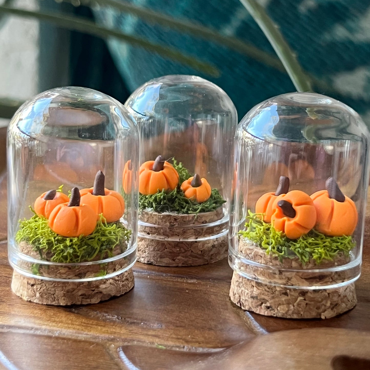 Pumpkin Patch - Dome