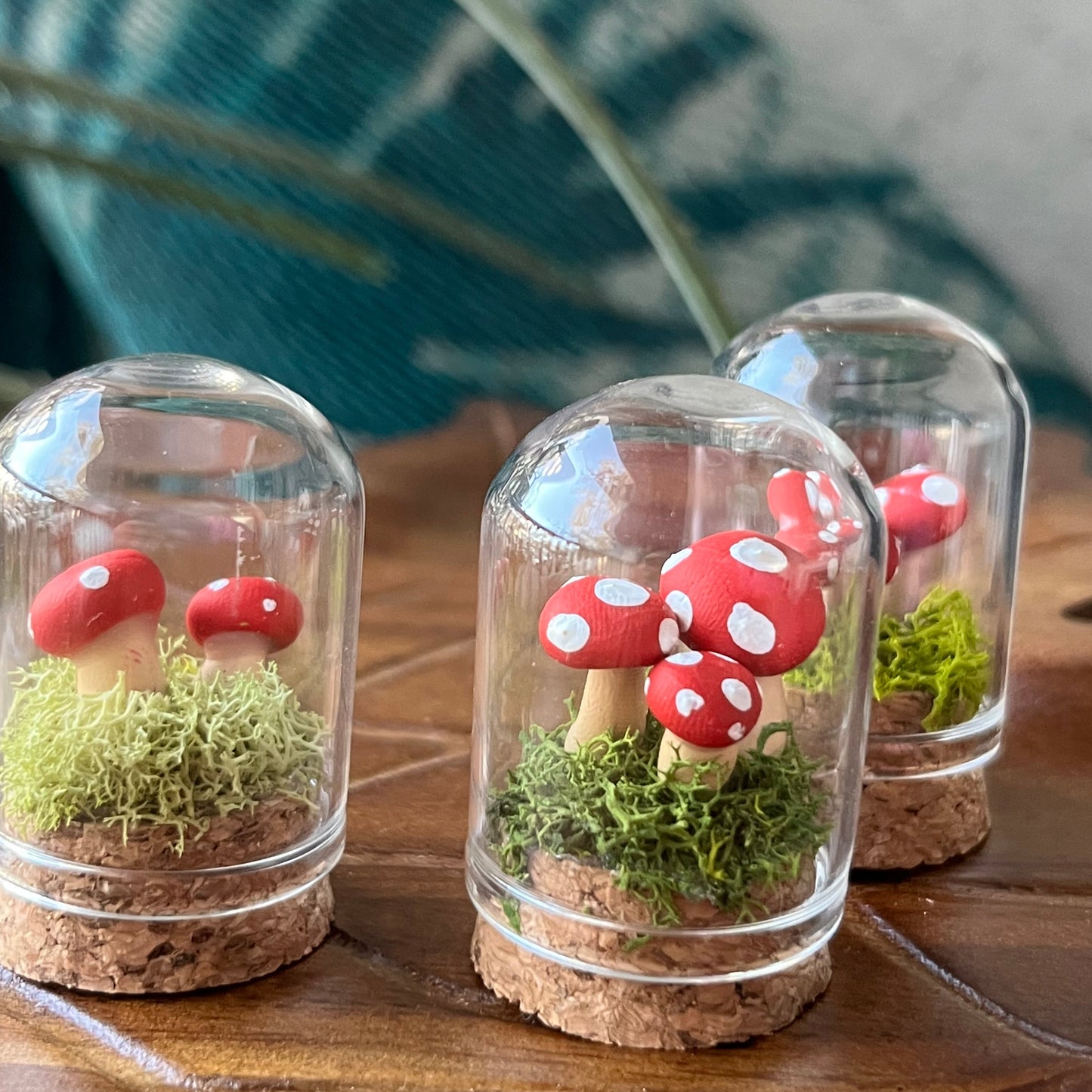 Mushroom Garden - Dome