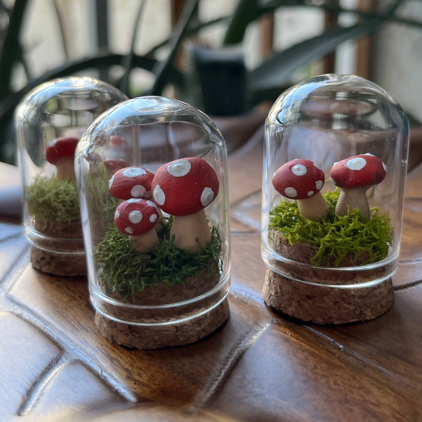 Mushroom Garden - Dome
