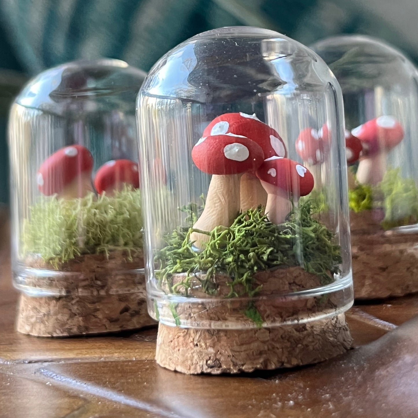 Mushroom Garden - Dome