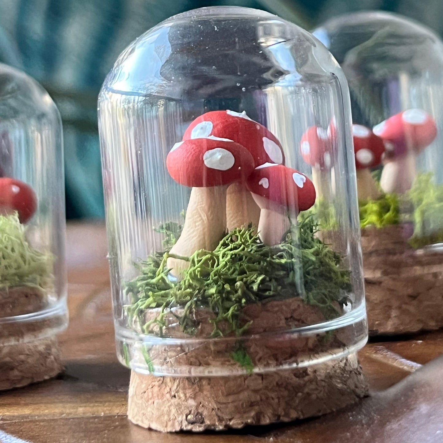 Mushroom Garden - Dome