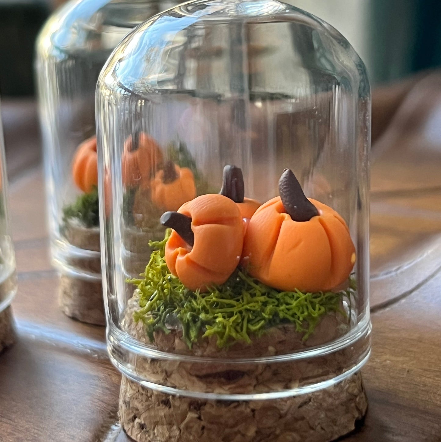 Pumpkin Patch - Dome