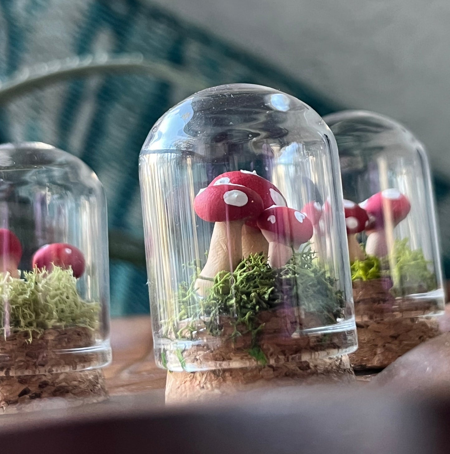 Mushroom Garden - Dome