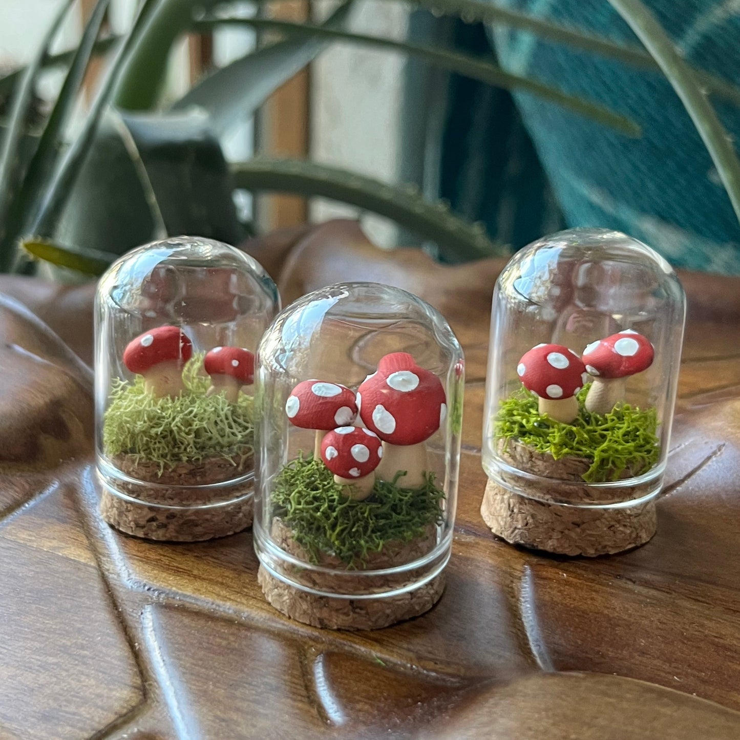 Mushroom Garden - Dome