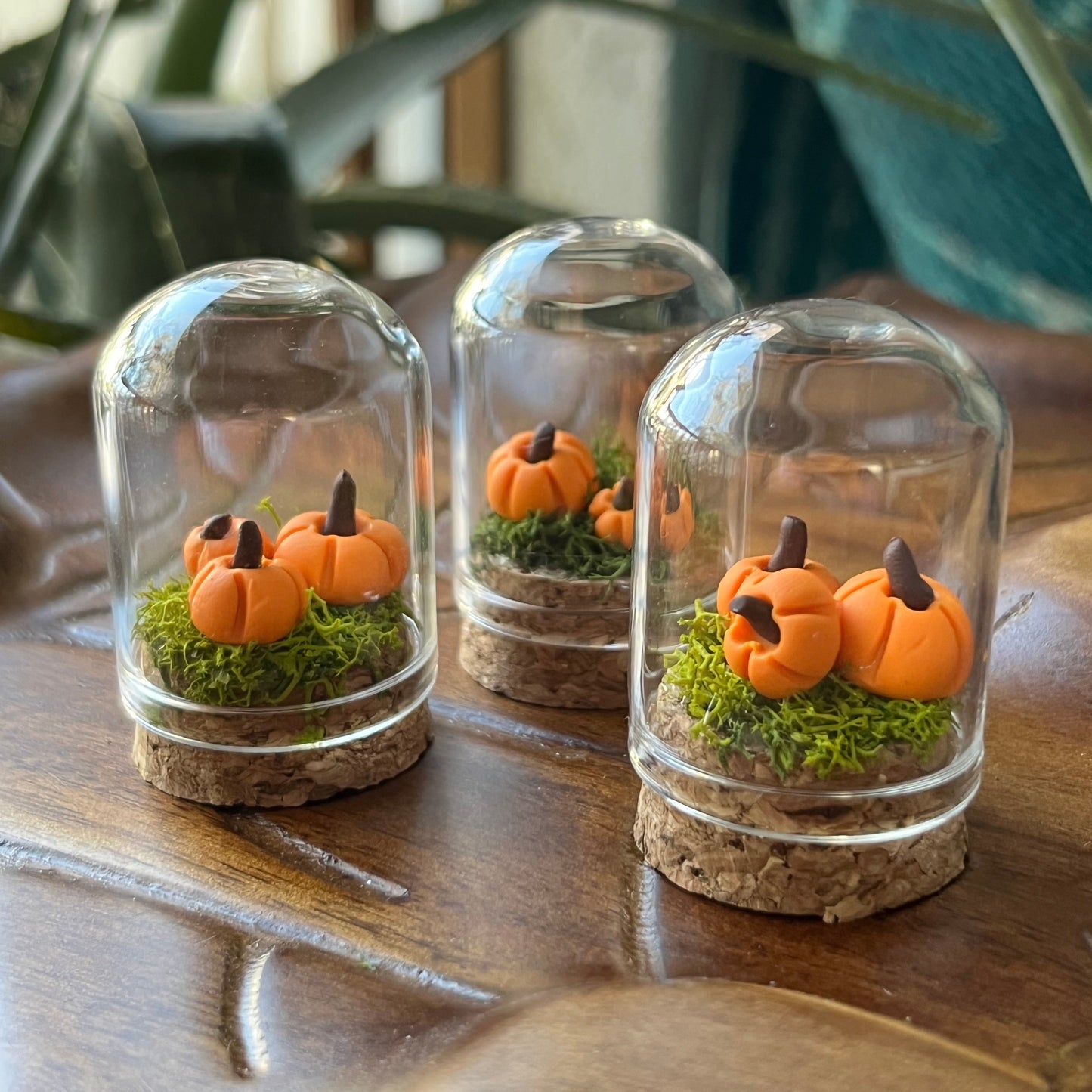 Pumpkin Patch - Dome