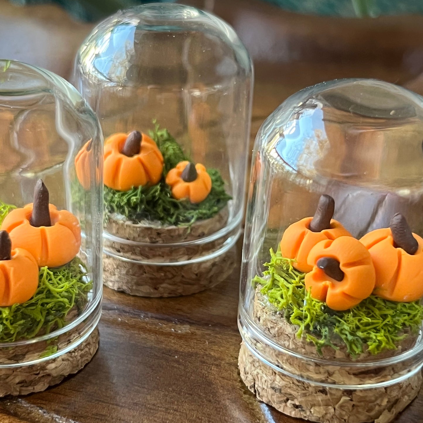 Pumpkin Patch - Dome