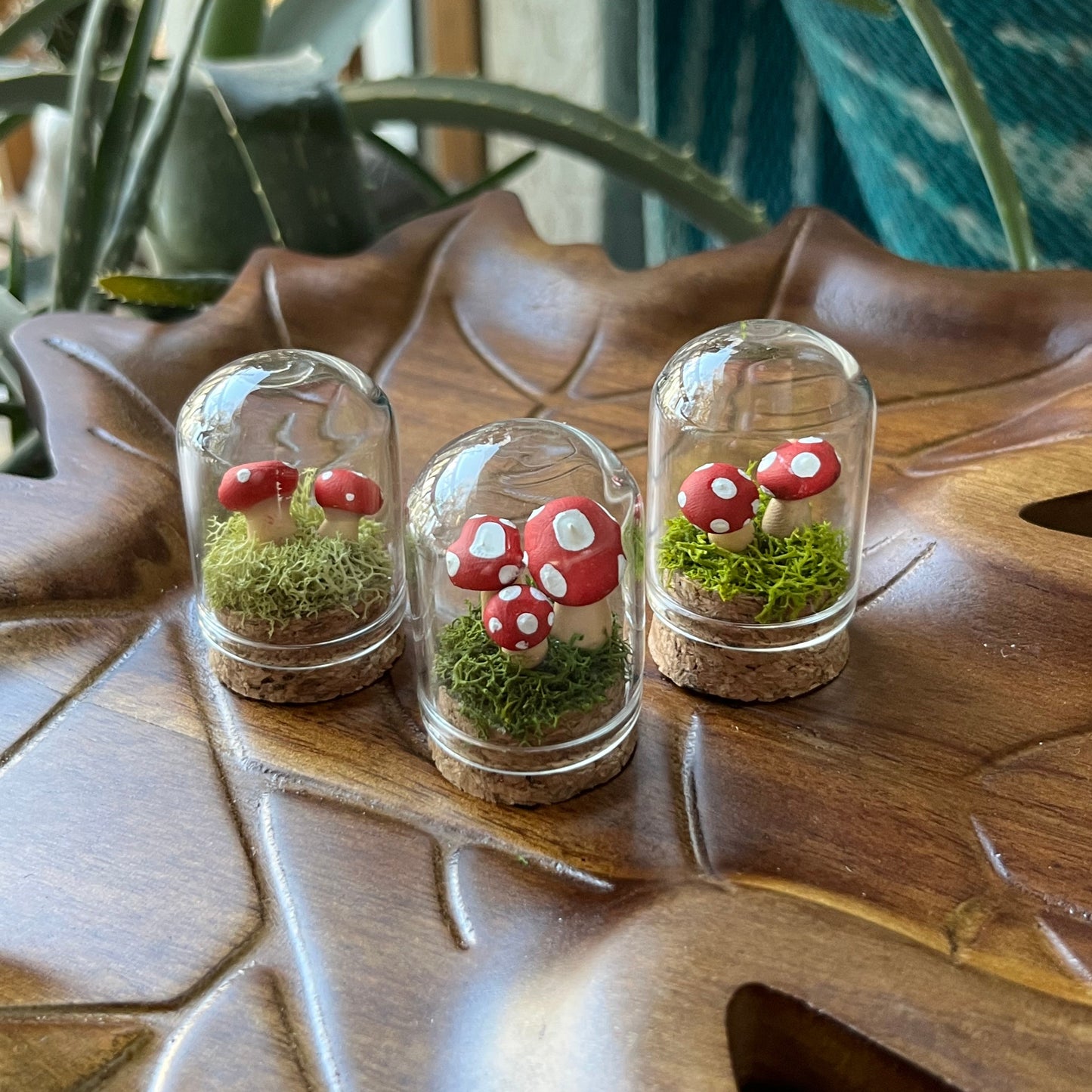 Mushroom Garden - Dome