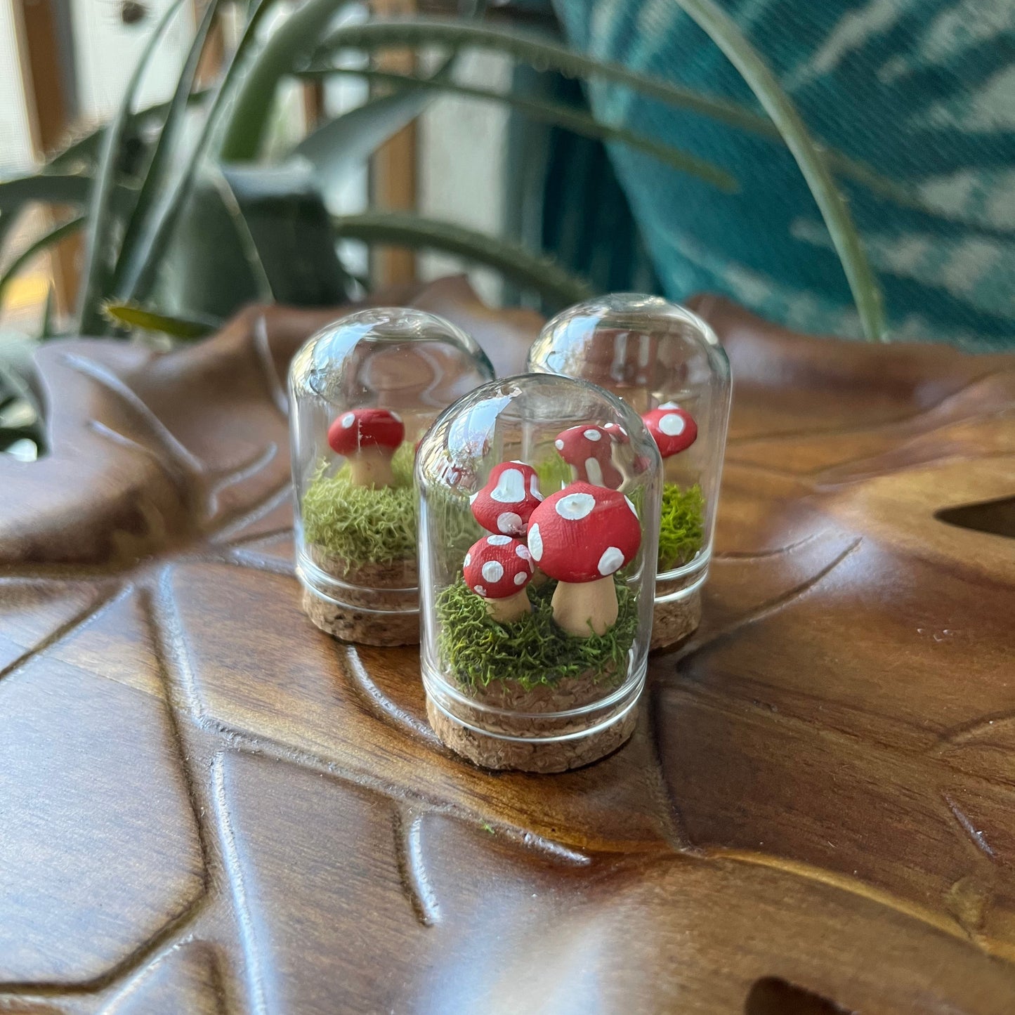 Mushroom Garden - Dome