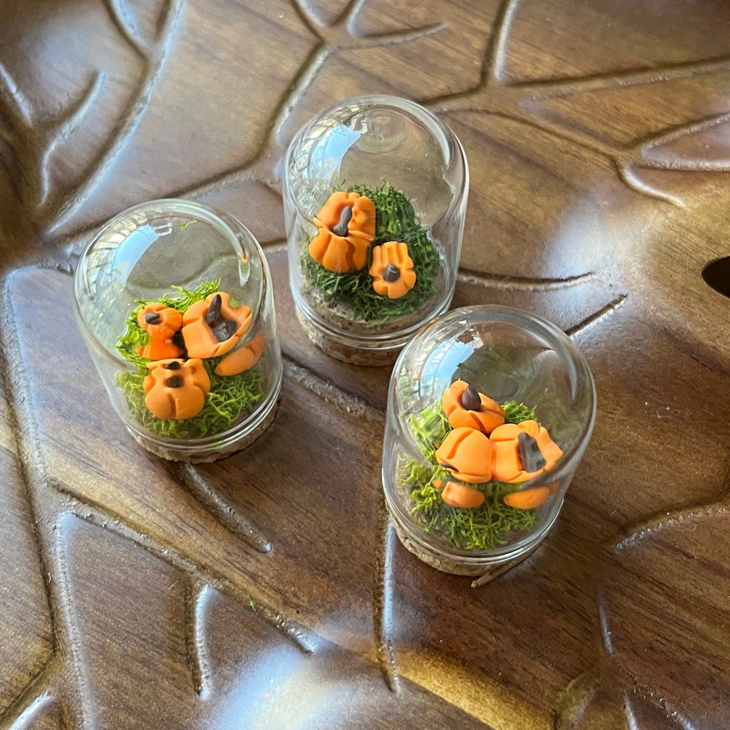 Pumpkin Patch - Dome