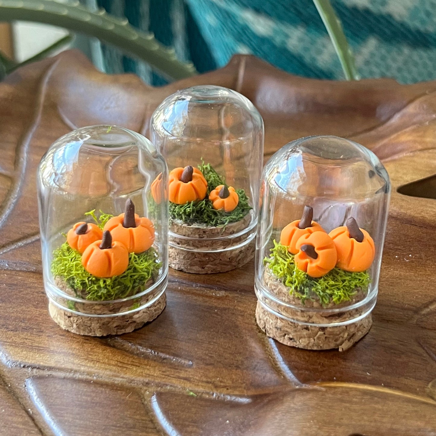Pumpkin Patch - Dome